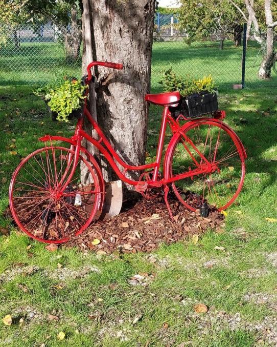 Gite Au Pommier Fleuri Et Son "Appart" Independant Drusenheim 외부 사진