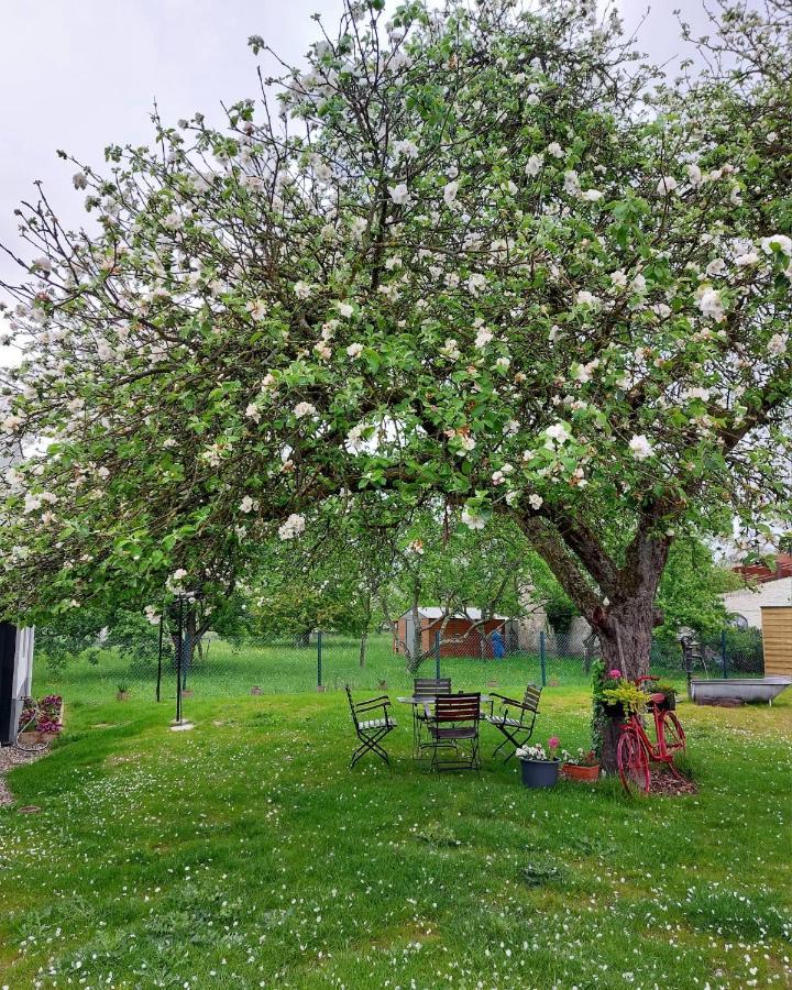 Gite Au Pommier Fleuri Et Son "Appart" Independant Drusenheim 외부 사진