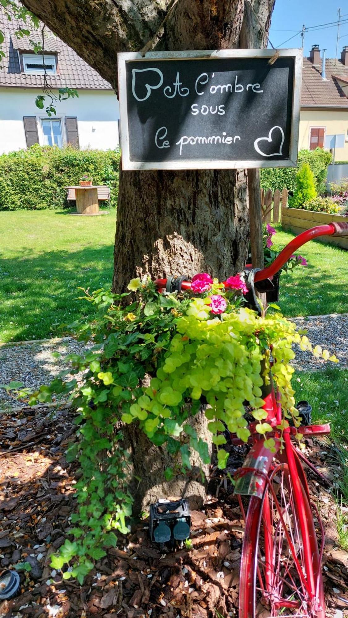 Gite Au Pommier Fleuri Et Son "Appart" Independant Drusenheim 외부 사진
